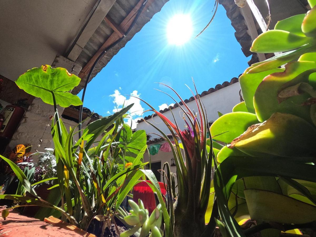 Hostal Posada Mi Casa San Cristóbal de Las Casas エクステリア 写真