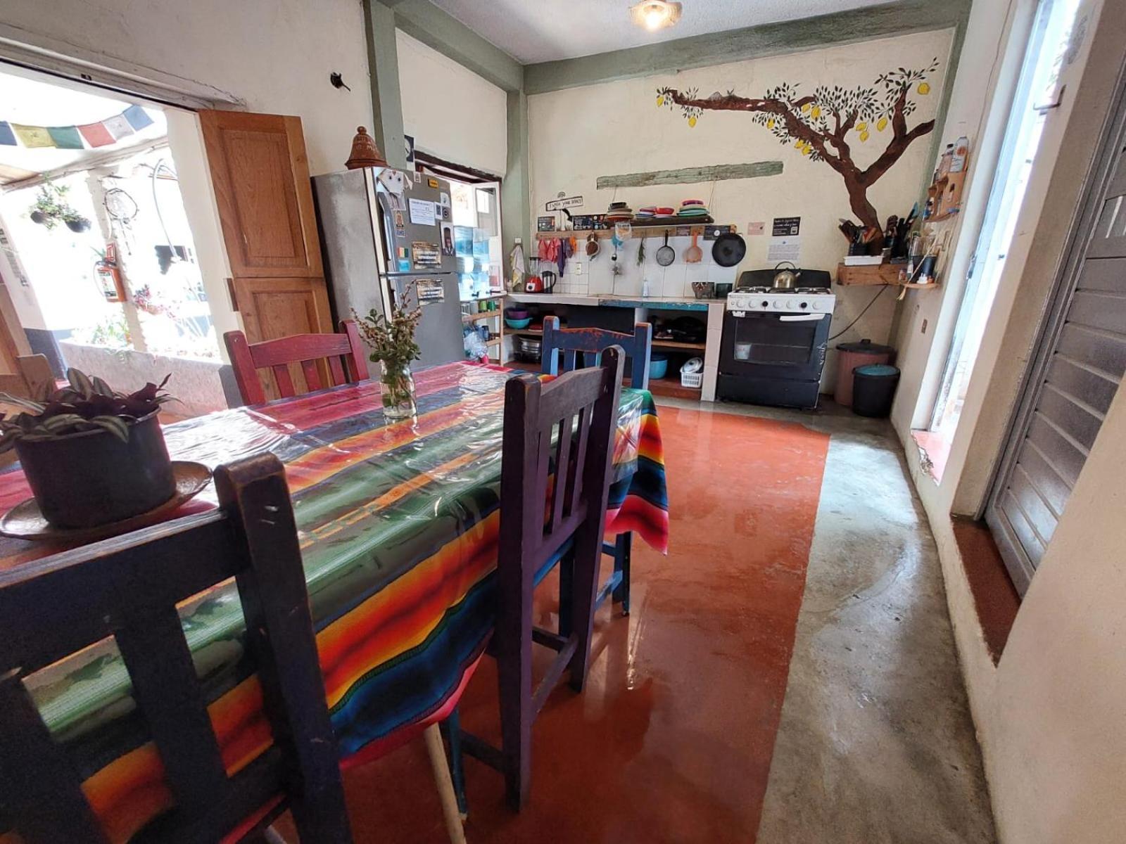 Hostal Posada Mi Casa San Cristóbal de Las Casas エクステリア 写真